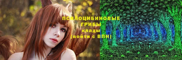 2c-b Алексин