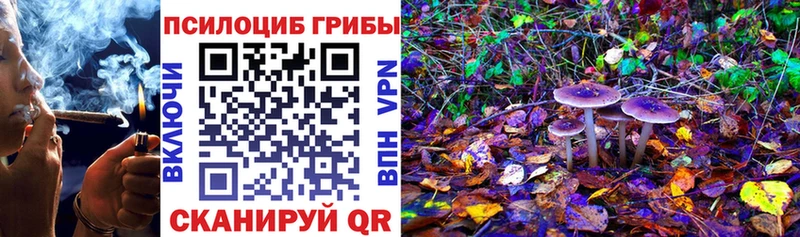 наркошоп  Завитинск  Галлюциногенные грибы мухоморы 